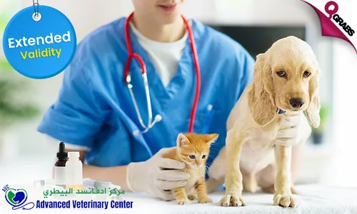 Dog OR Cat Vaccination!